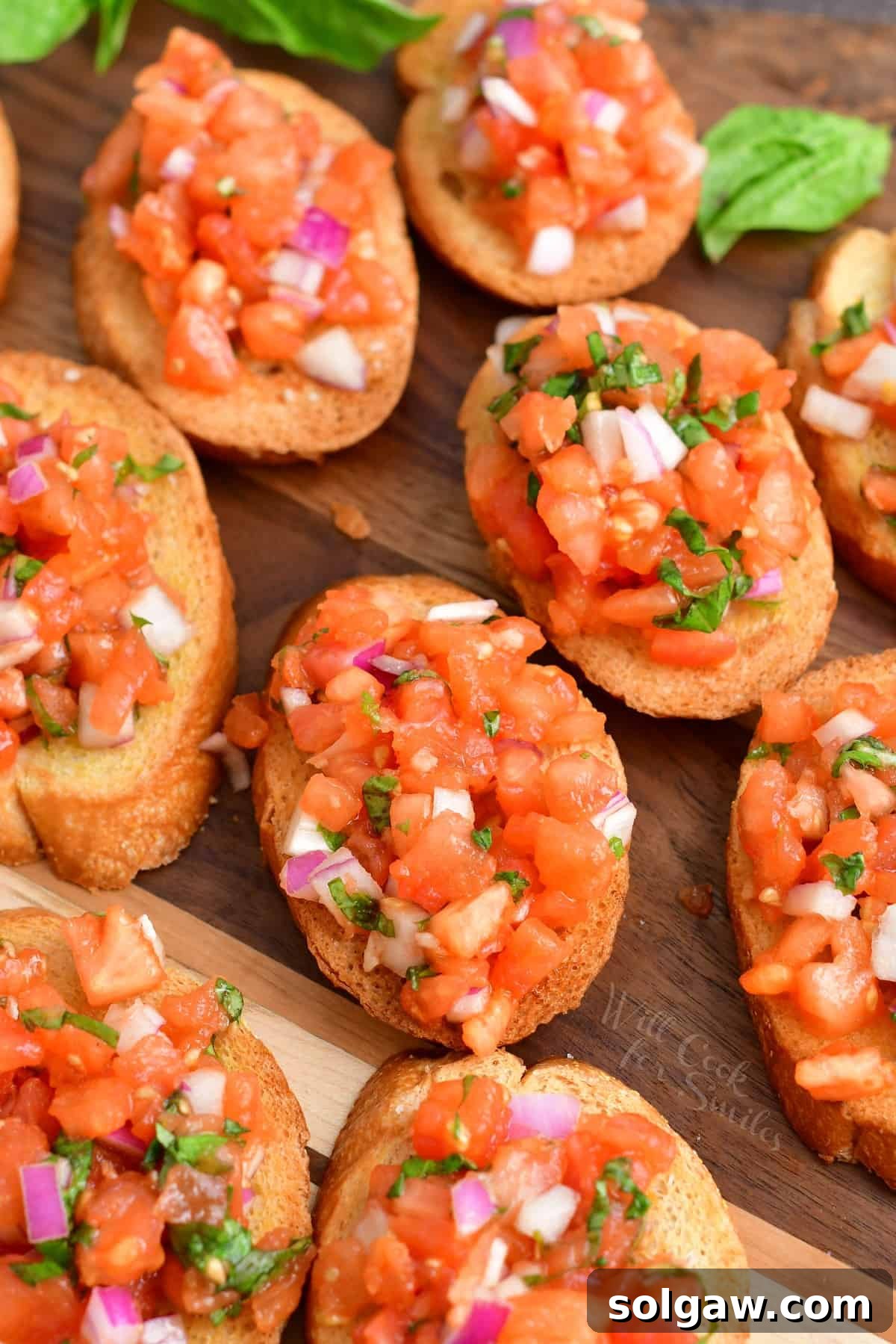 Closeup of Bruschetta: slices of baguette with diced tomato mixture