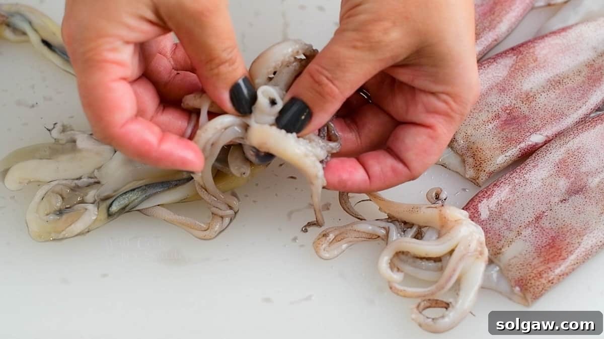 pulling off the beak off the squid head