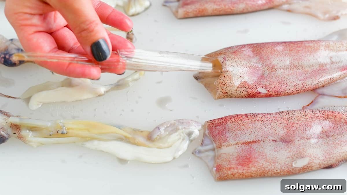 pulling cuttlebone out of the squid mantle
