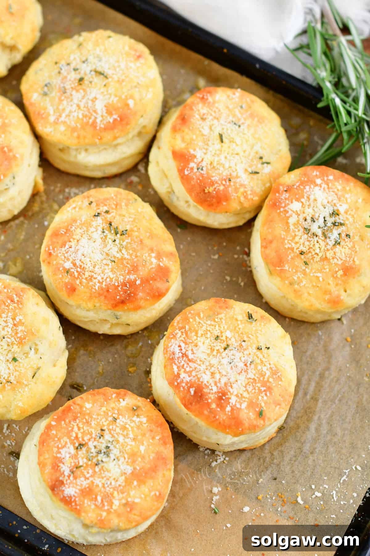 Parmesan Herb Garlic Butter Biscuits 10 Top-down view of perfectly baked, golden-brown garlic butter parmesan herb biscuits on a baking sheet.