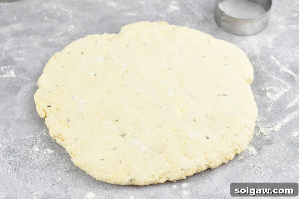 Parmesan Herb Garlic Butter Biscuits 4 Biscuit dough shaped into a uniform circle, ready for cutting on a lightly floured surface.