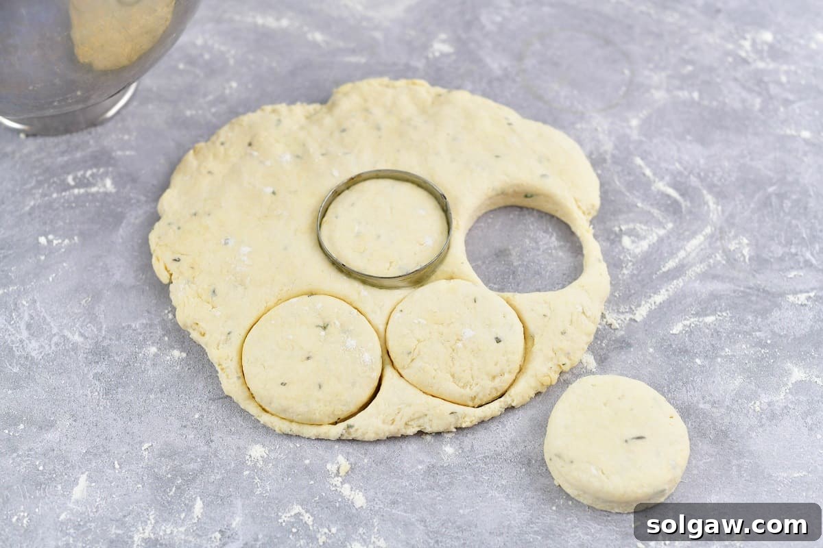 Parmesan Herb Garlic Butter Biscuits 5 A baker using a round cookie cutter to cut perfectly shaped biscuits from the prepared dough.