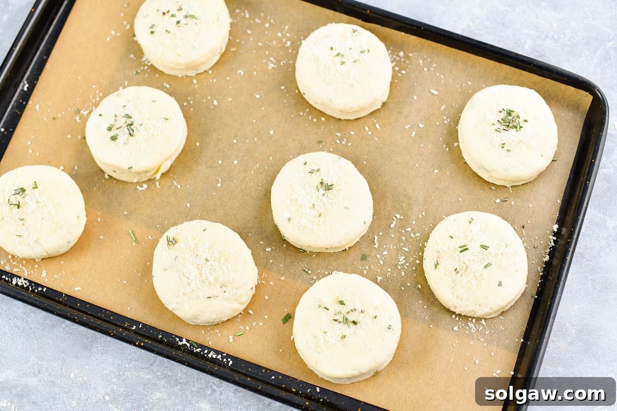 Parmesan Herb Garlic Butter Biscuits 6 Unbaked biscuits arranged neatly on a parchment-lined baking sheet, ready for the oven.