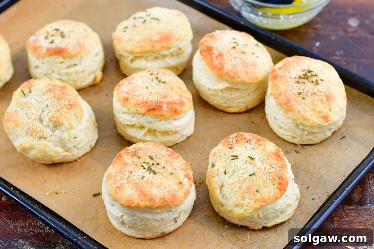 Parmesan Herb Garlic Butter Biscuits 7 Freshly baked golden-brown biscuits on a baking sheet, glistening with melted butter.