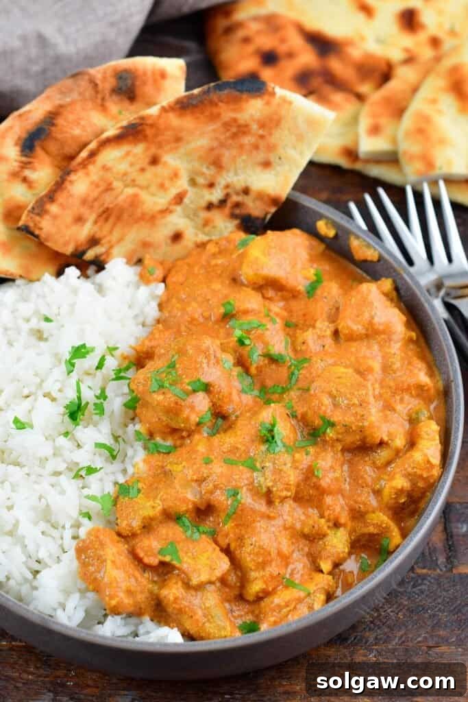 Butter Chicken Murgh Makhani 13 Top-down view of a generous serving of butter chicken over basmati rice, with a piece of garlic naan bread, garnished with fresh cilantro.
