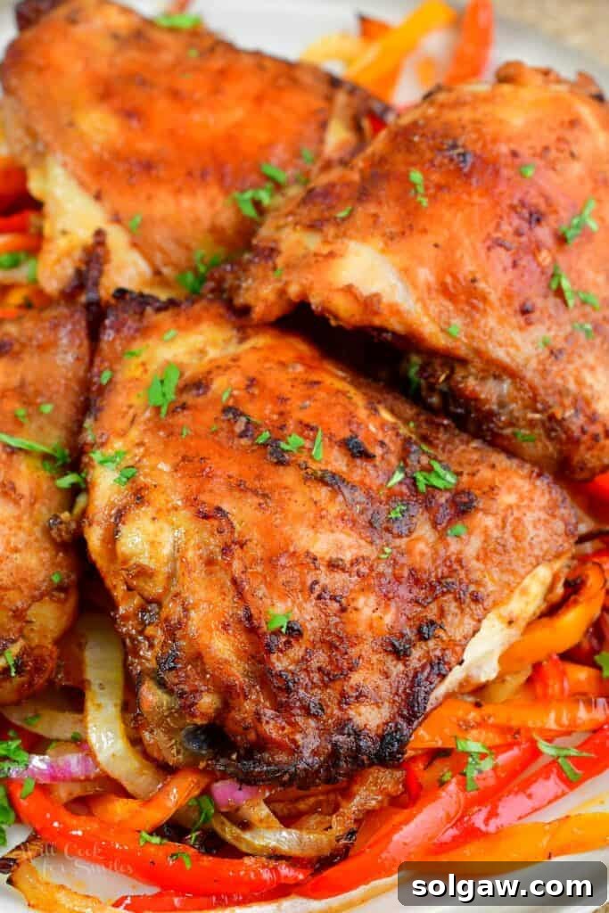 Zesty Air-Fried Southwest Chicken Thighs 2 Closeup of perfectly cooked Air Fryer Southwest Chicken Thighs with vibrant bell peppers and onions, showcasing crispy skin and tender meat.