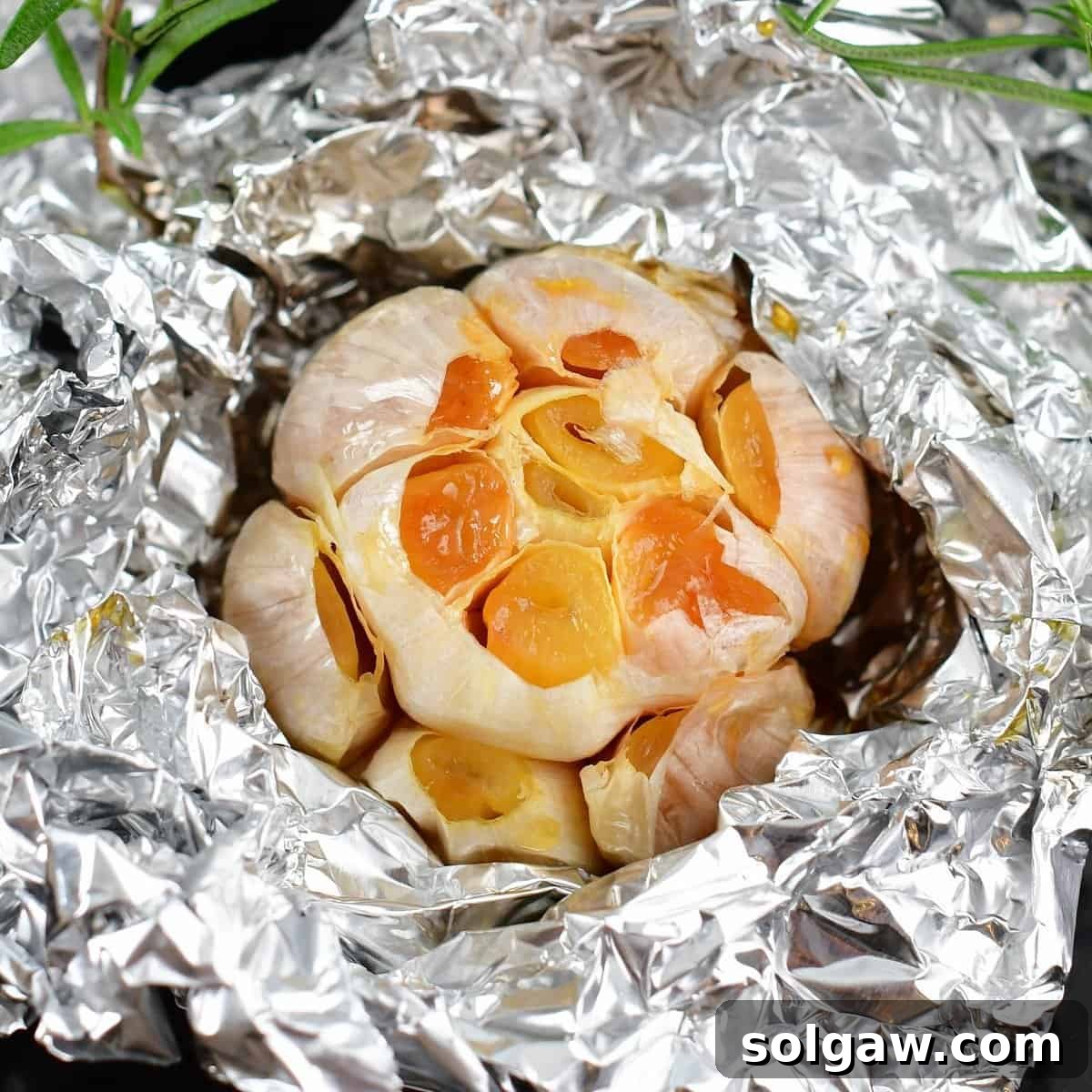 Squared image of roasted garlic in foil, a culinary delight ready for any dish.