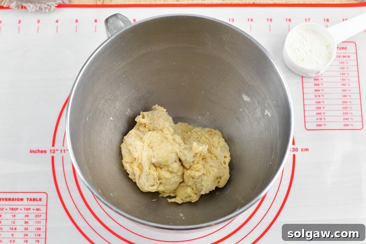 Sweet Golden Onion Smoky Bacon Gruyere Flatbread 5 mixed pizza crust dough in the metal bowl, illustrating the initial stage of dough preparation