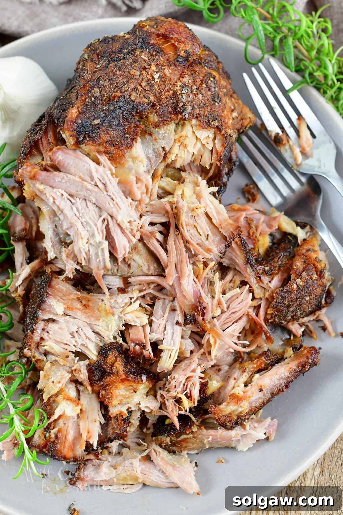 closeup of shredded tender roasted pork on the plate.