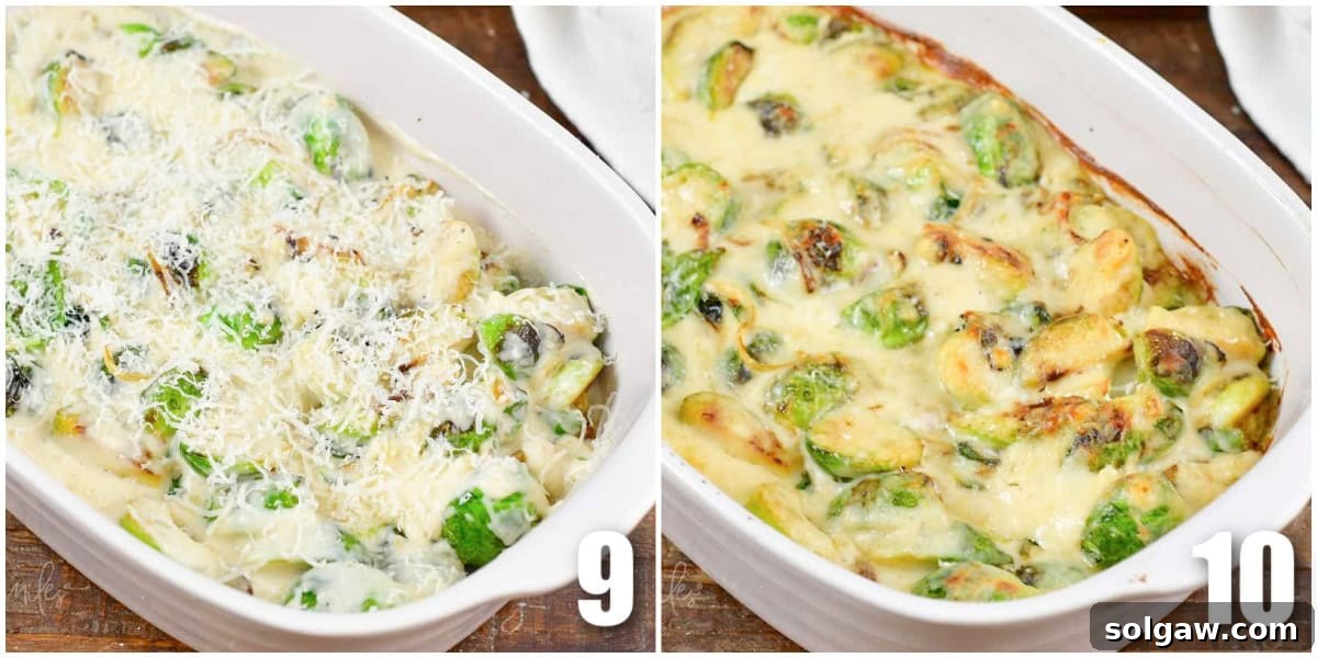 Velvety Baked Brussels Sprouts Gratin 6 collage of two images of creamy brussels sprouts before and after baking.