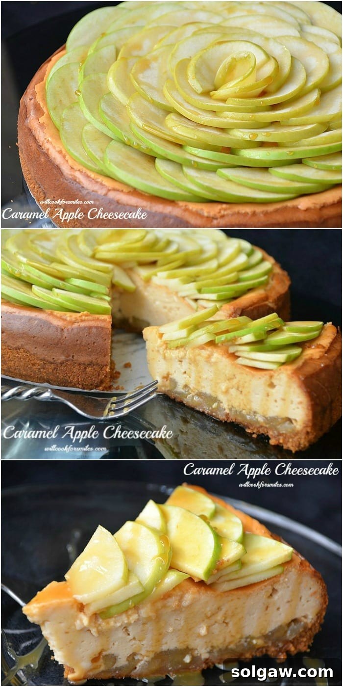 A stunning caramel apple cheesecake collage featuring a whole cheesecake adorned with sliced apples, a close-up of a perfect slice being removed, and a delicious individual slice ready to eat.