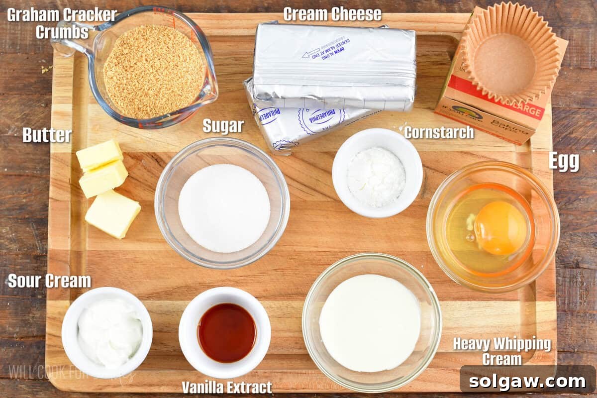 labeled ingredients infographic to make mini cheesecakes.