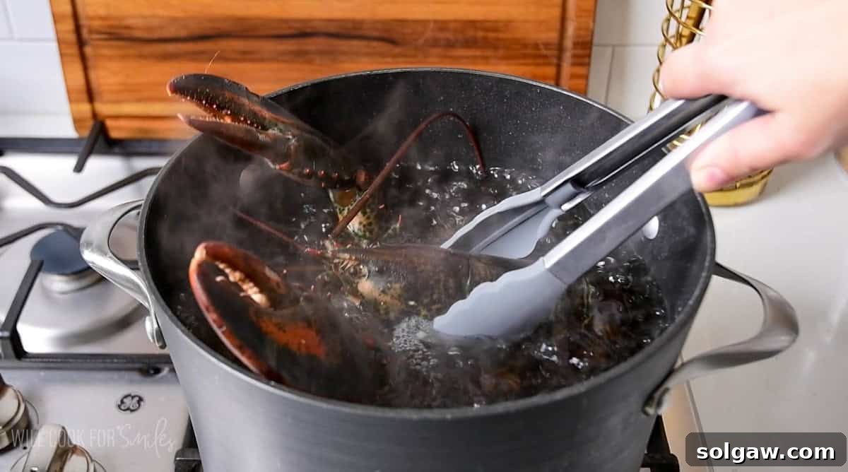 Unlock the Flavor: Perfect Lobster Every Time 3 A live lobster being carefully added to a large pot of boiling water using long metal tongs.