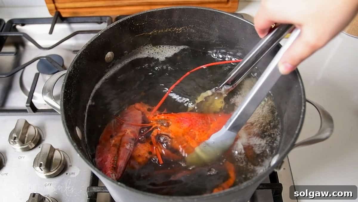Unlock the Flavor: Perfect Lobster Every Time 4 A cooked lobster, bright red and steaming, being carefully removed from the pot with long metal tongs.