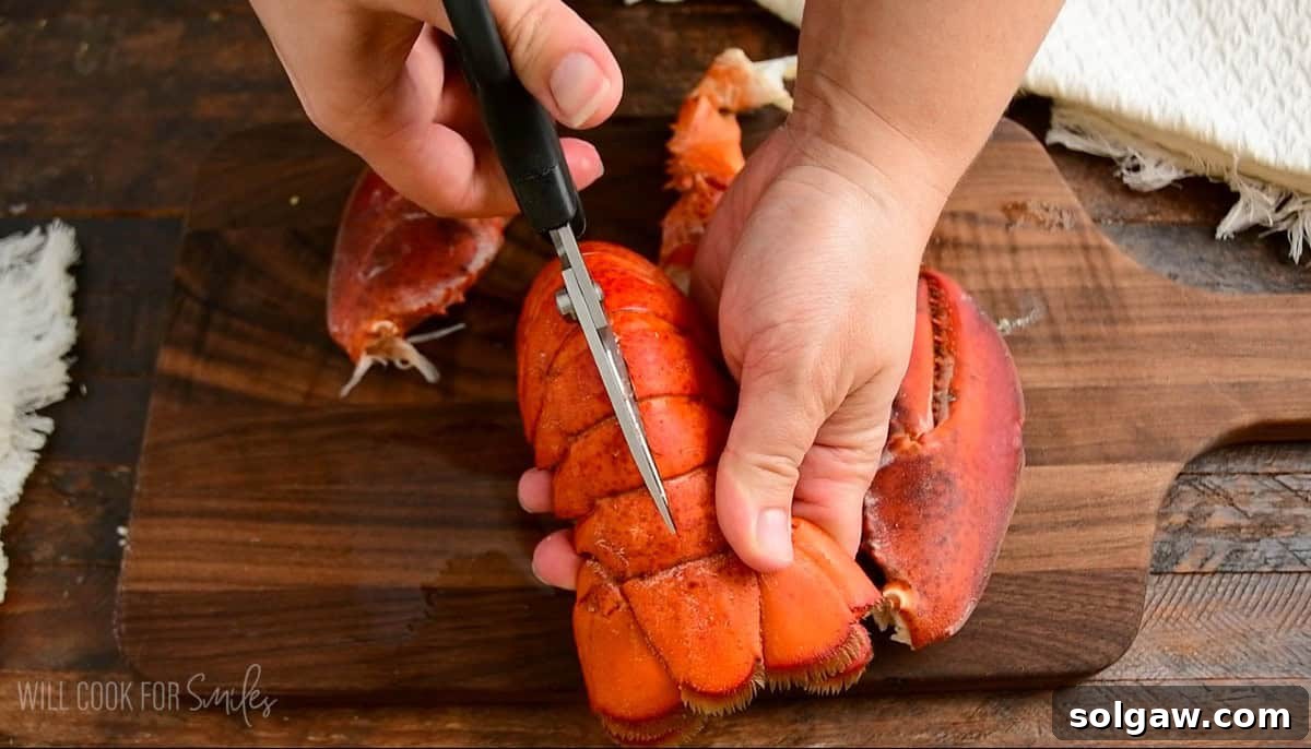 Unlock the Flavor: Perfect Lobster Every Time 6 Kitchen shears cutting through the underside of a cooked lobster tail to extract the meat.