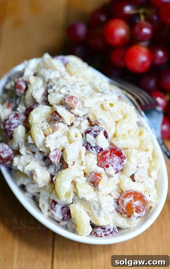 Sweet and Savory Chicken Macaroni 2 chicken macaroni salad with grapes in creamy dressing in a bowl.