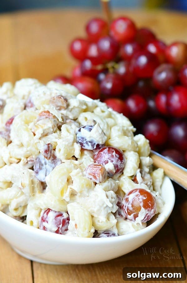 Sweet and Savory Chicken Macaroni 3 a bowl full of chicken and macaroni salad next to a bunch of grapes.