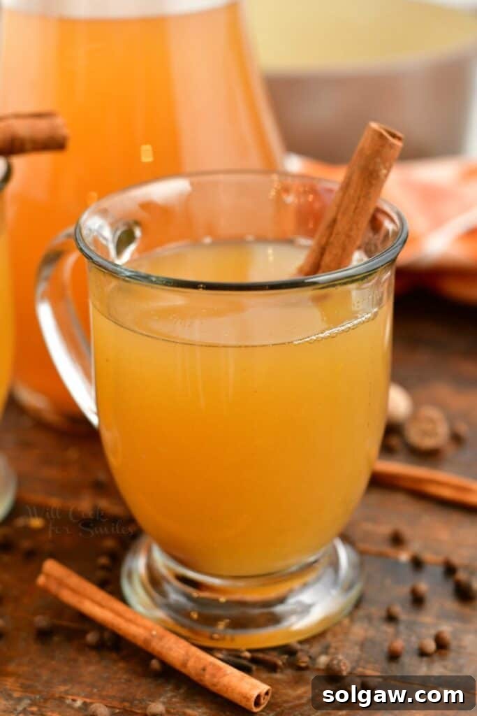 Wholesome Homemade Apple Cider 2 hot apple cider in glass mug garnished with cinnamon stick
