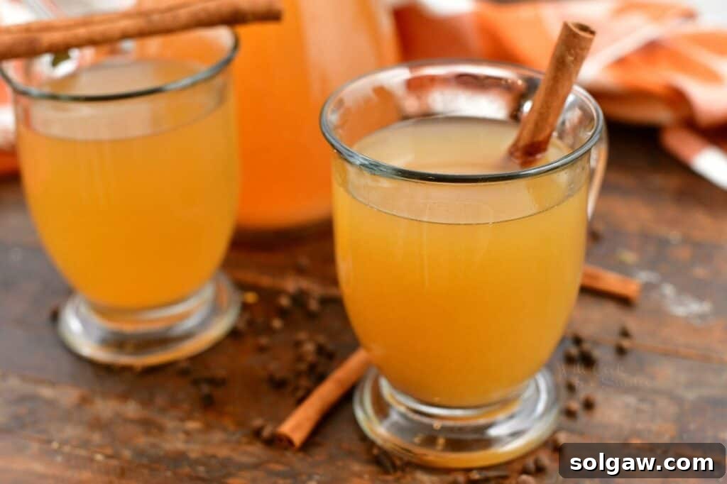 Wholesome Homemade Apple Cider 3 side view: two clear glass mugs of apple cider with cinnamon sticks