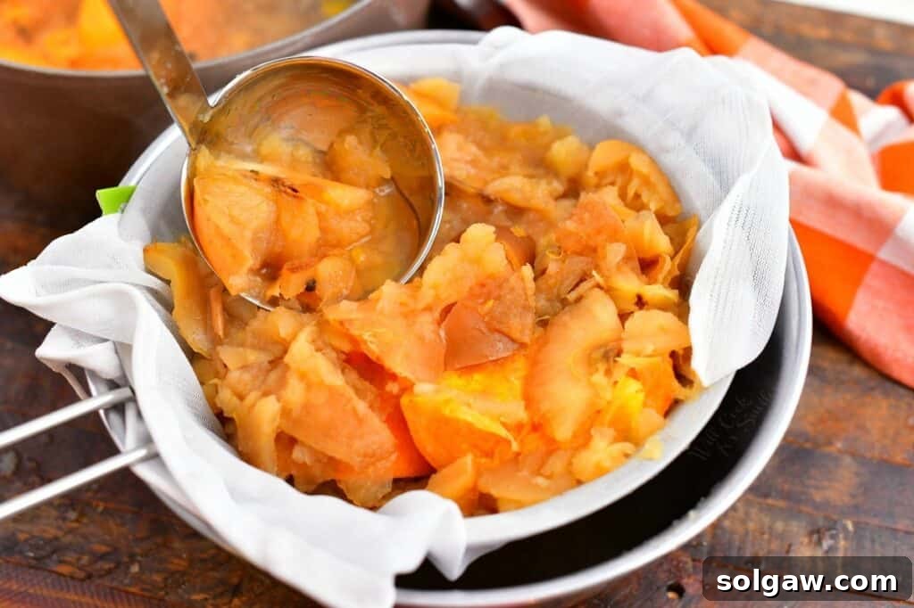 Wholesome Homemade Apple Cider 6 ladling cooked apples to cheesecloth lined strainer