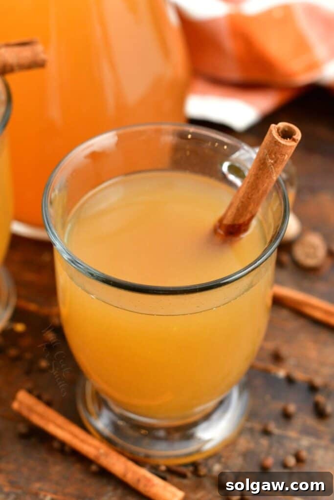 Wholesome Homemade Apple Cider 8 looking down into glass mug of fresh apple cider