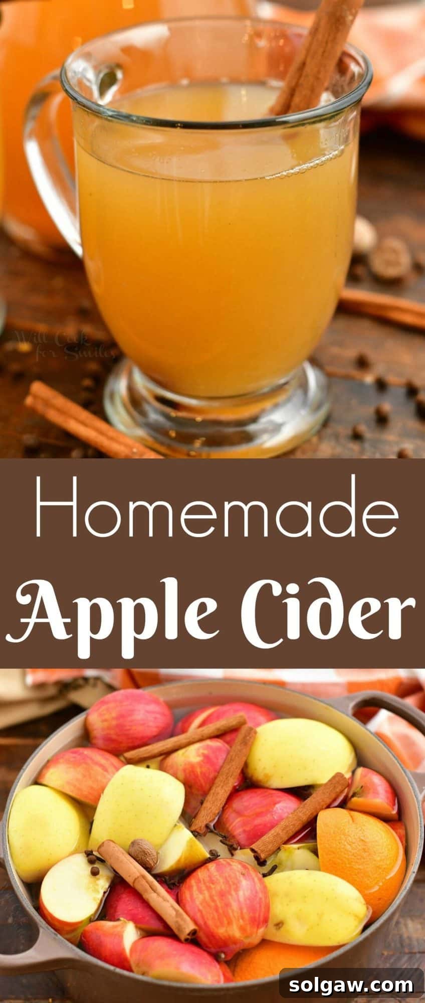 Wholesome Homemade Apple Cider 10 titled photo collage shows how to make apple cider