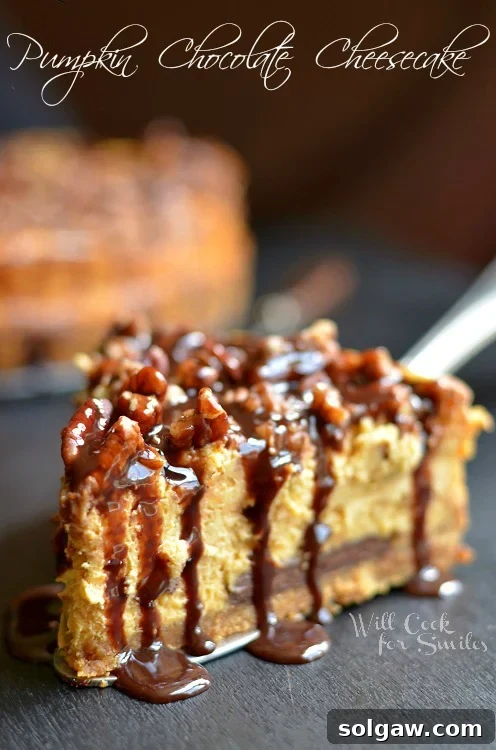 Chocolate Pumpkin Cheesecake - a creamy pumpkin cheesecake with a chocolate crust and chocolate swirls.