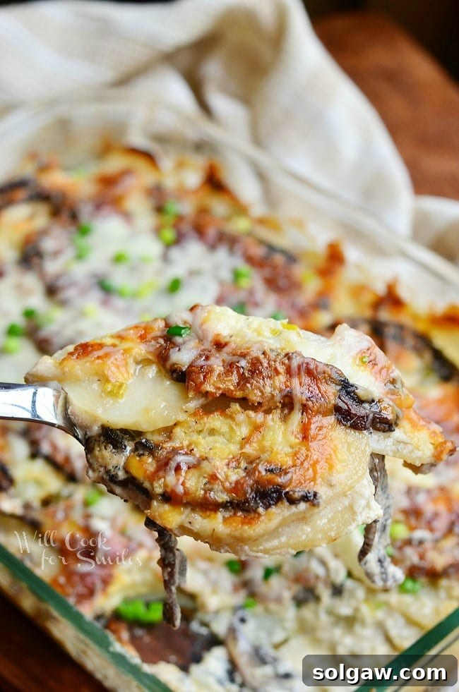 Scalloped Potatoes being lifted out of a pan with a spoon 