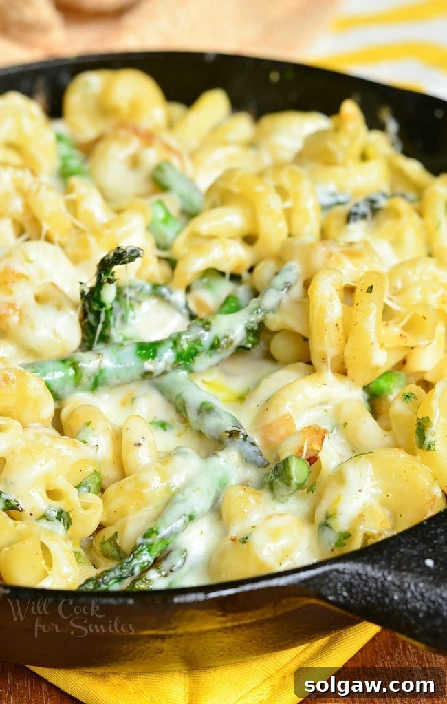 Extra Cheesy Lemon Asparagus Pasta Skillet is presented here in a black skillet. In the skillet, there are many noodles and asparagus covered in a creamy sauce, ready to be served.