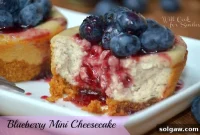 Blueberry Cheesecake Bites