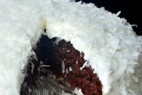 Rich Chocolate Coconut Cloud Cake