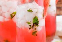 Watermelon Mojito Delight