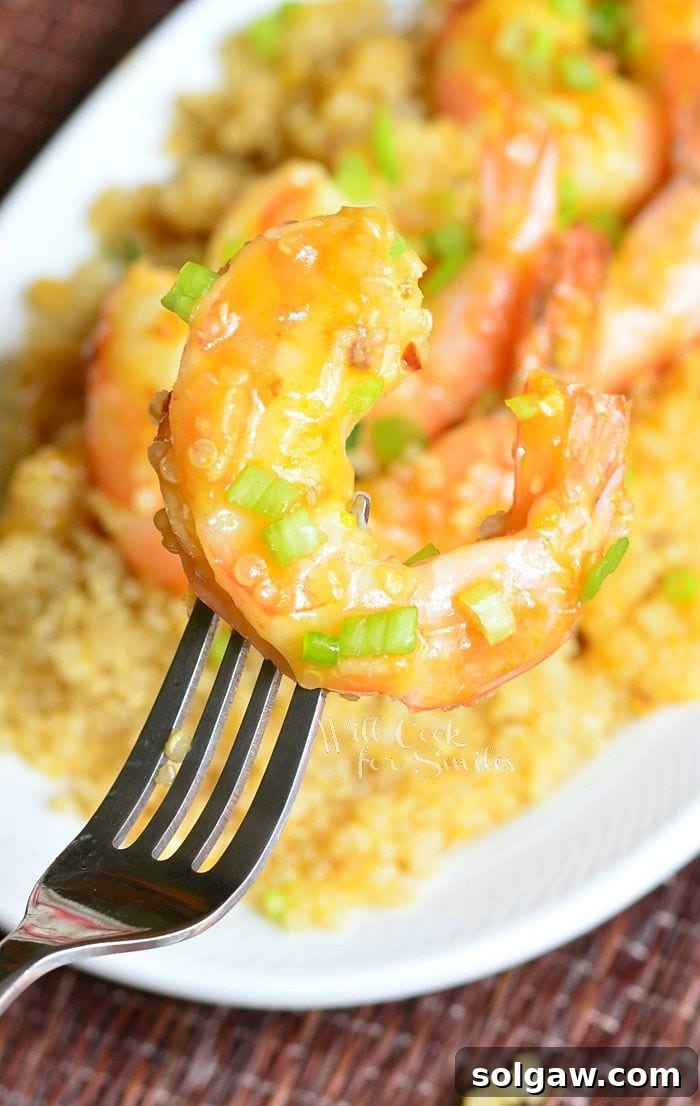 Citrus-Kissed Shrimp with Fiery Quinoa 5 Orange Shrimp on a fork with Quinoa in the background on a white plate, showcasing the vibrant dish