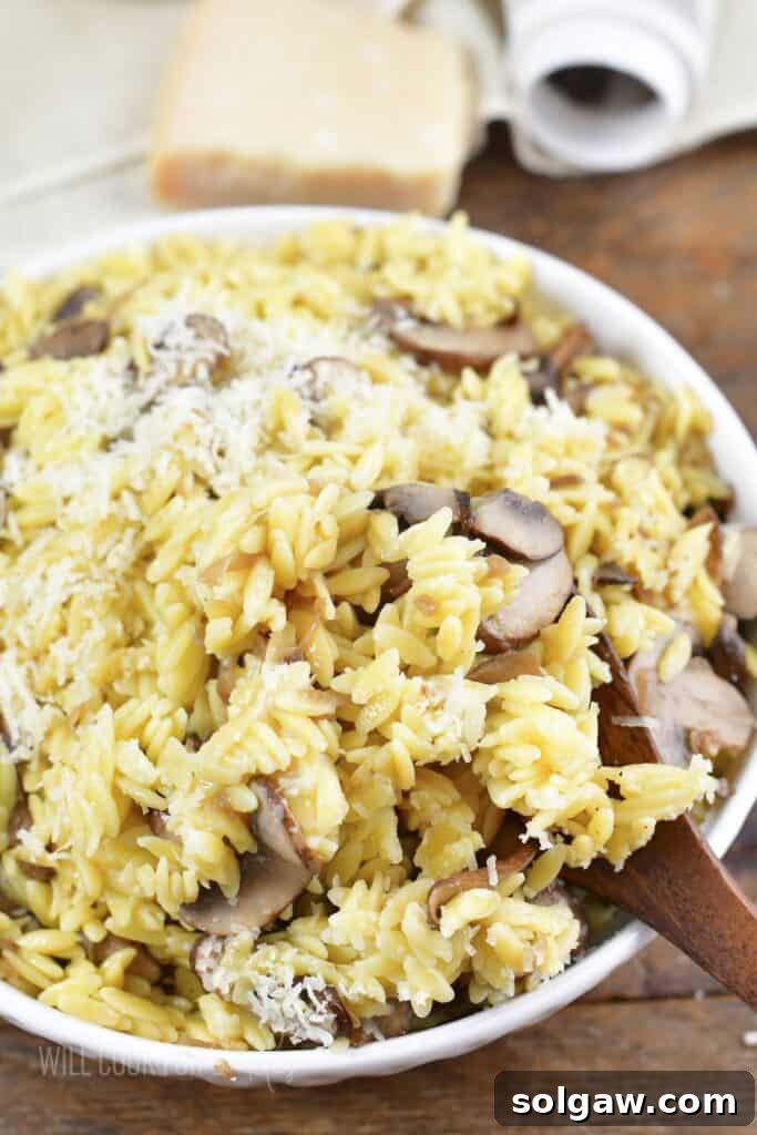 scooping out some parmesan orzo with mushrooms from a bowl, highlighting its creamy texture and rich ingredients.