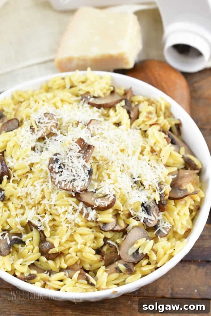 top view of parmesan mushroom orzo in a white bowl, garnished with fresh herbs, showcasing its appetizing appeal.