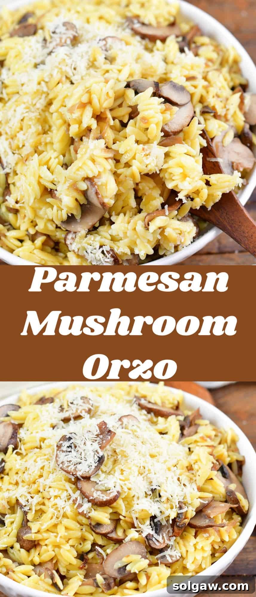 collage of two closeup images of mushroom parmesan orzo and title, highlighting its deliciousness and ease.