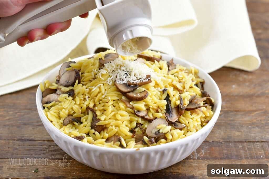 grating fresh parmesan cheese over the bowl of orzo as a garnish, adding a finishing touch.