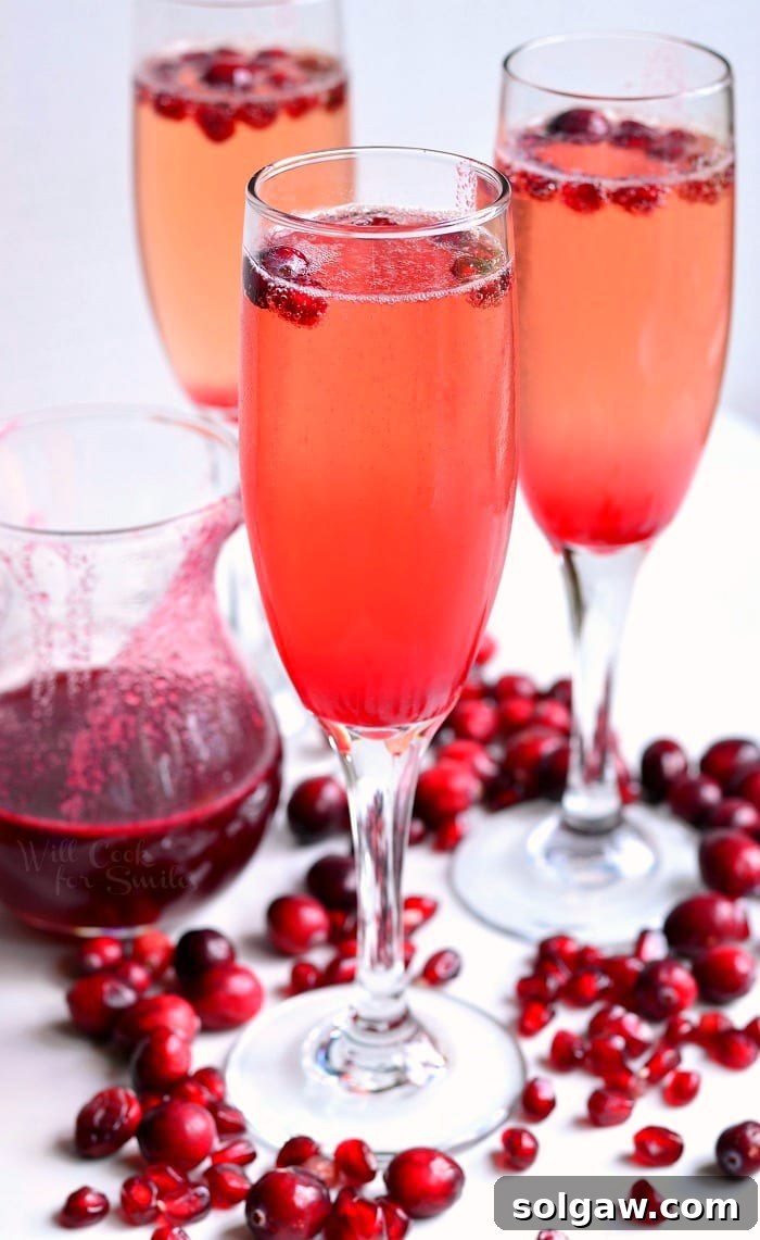 Elegant Cranberry Pomegranate Champagne Cocktail in a flute, garnished with fresh cranberries and pomegranate seeds, set against a festive backdrop.
