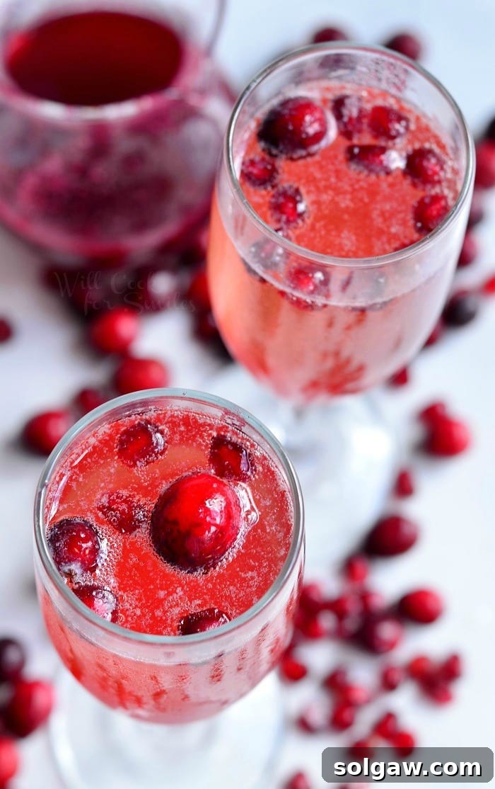 Close-up aerial view of a Cranberry Pomegranate Champagne Cocktail in a flute, showcasing vibrant red liquid and festive berry garnishes.