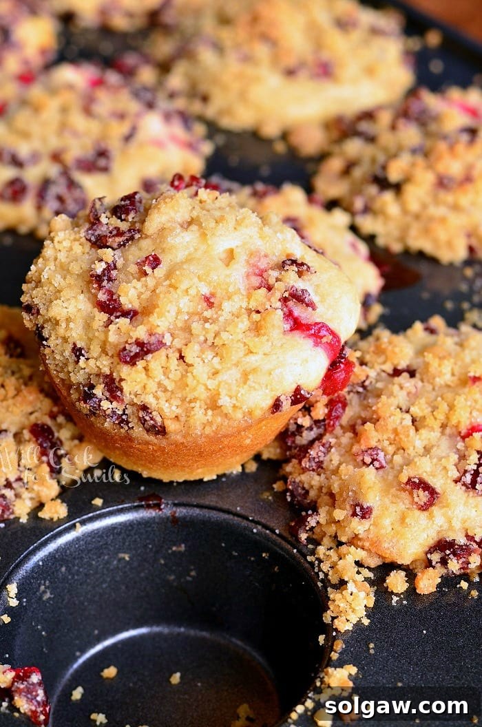 Freshly baked Cranberry White Chocolate Chip Streusel Muffins in a muffin tin, golden brown and inviting.