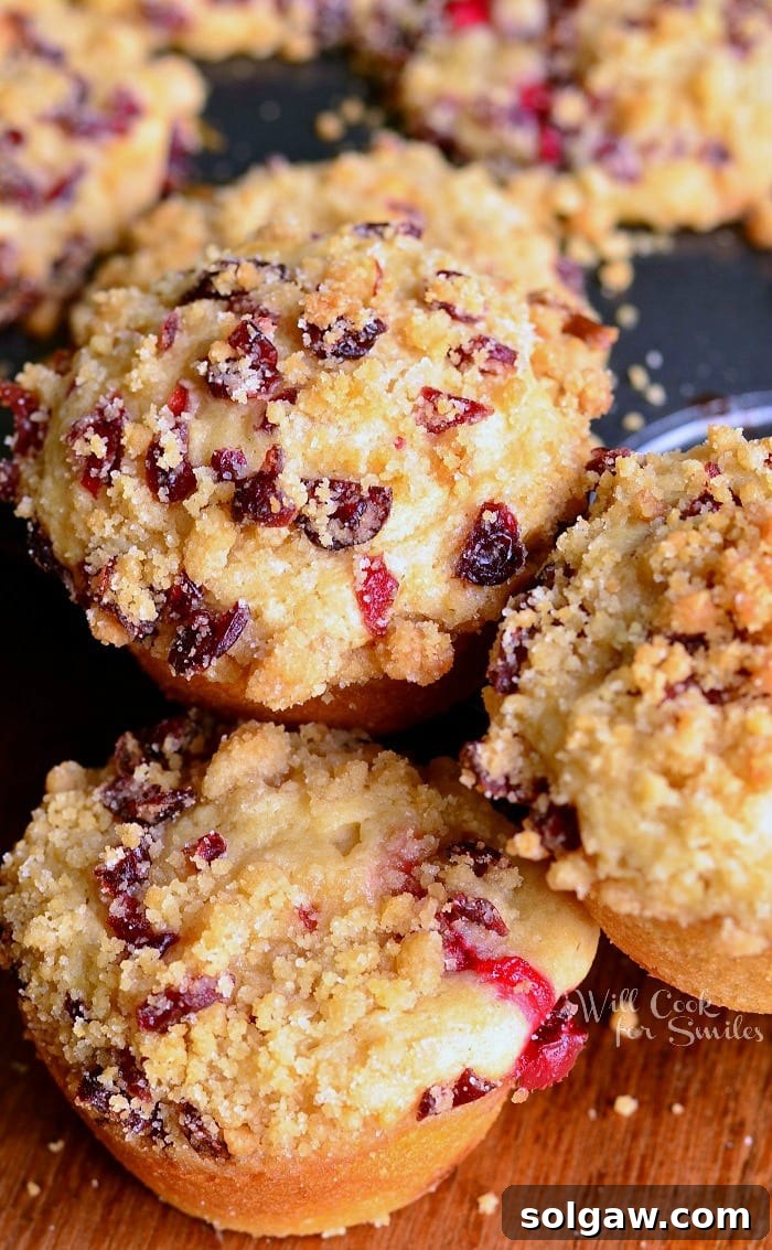 A delightful stack of Cranberry White Chocolate Chip Streusel Muffins on a muffin pan, showing their golden tops.