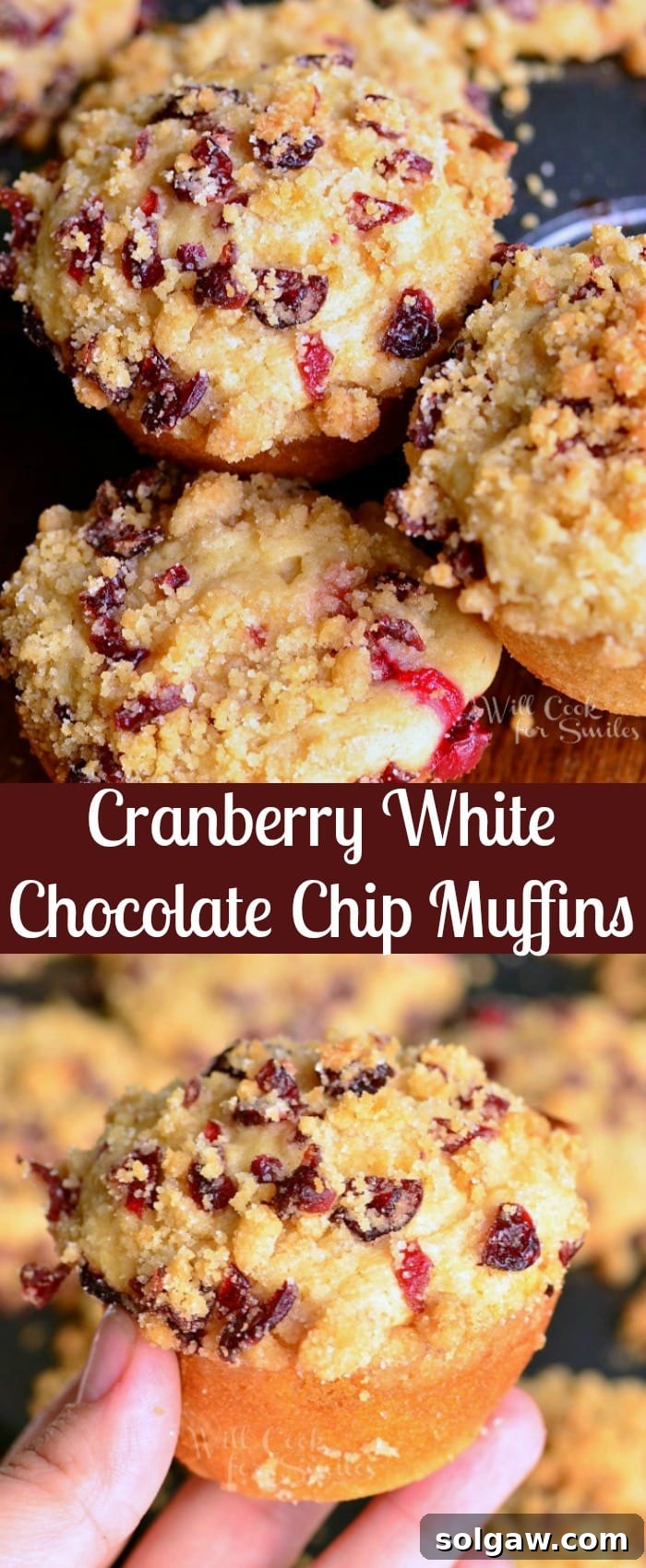 A collage of Cranberry White Chocolate Chip Streusel Muffins, showcasing various angles and their delicious texture.