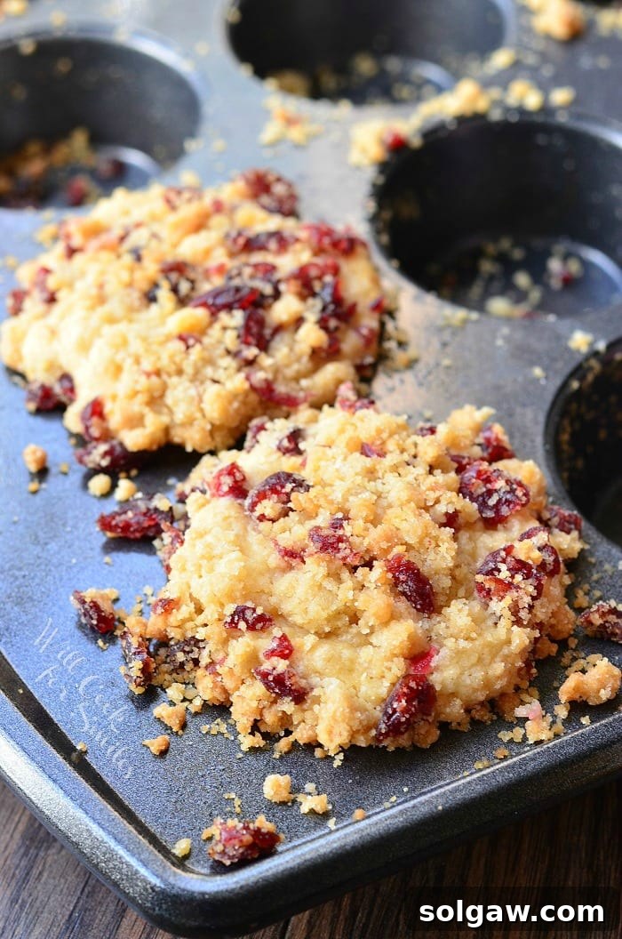 Two Cranberry White Chocolate Chip Streusel Muffins cooling in a baking pan, highlighting their texture and generous toppings.