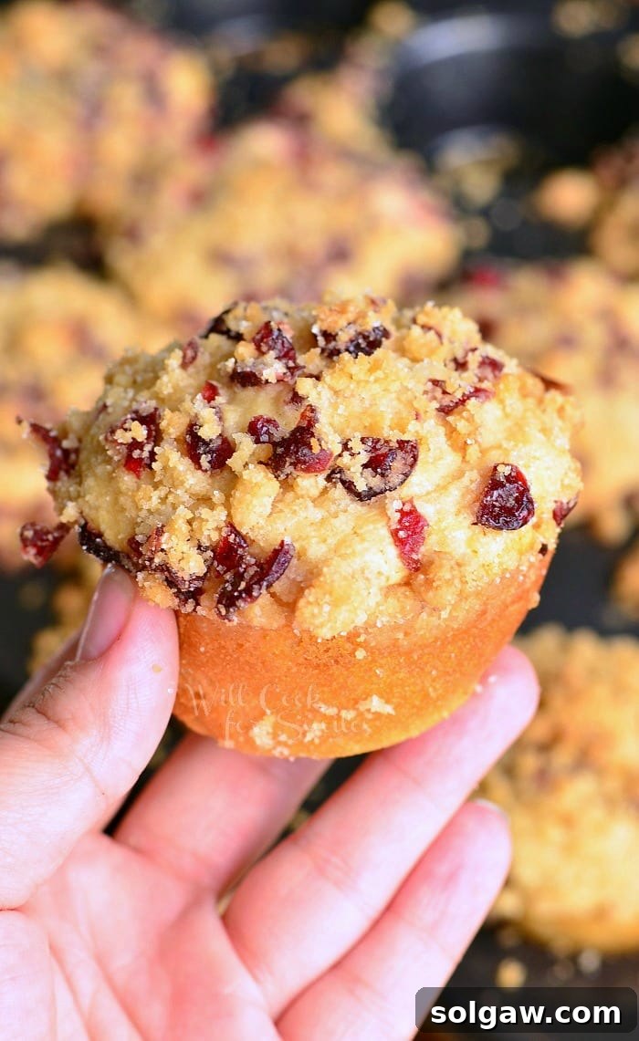 A hand holds one perfectly baked Cranberry White Chocolate Chip Streusel Muffin, with more muffins in the background.