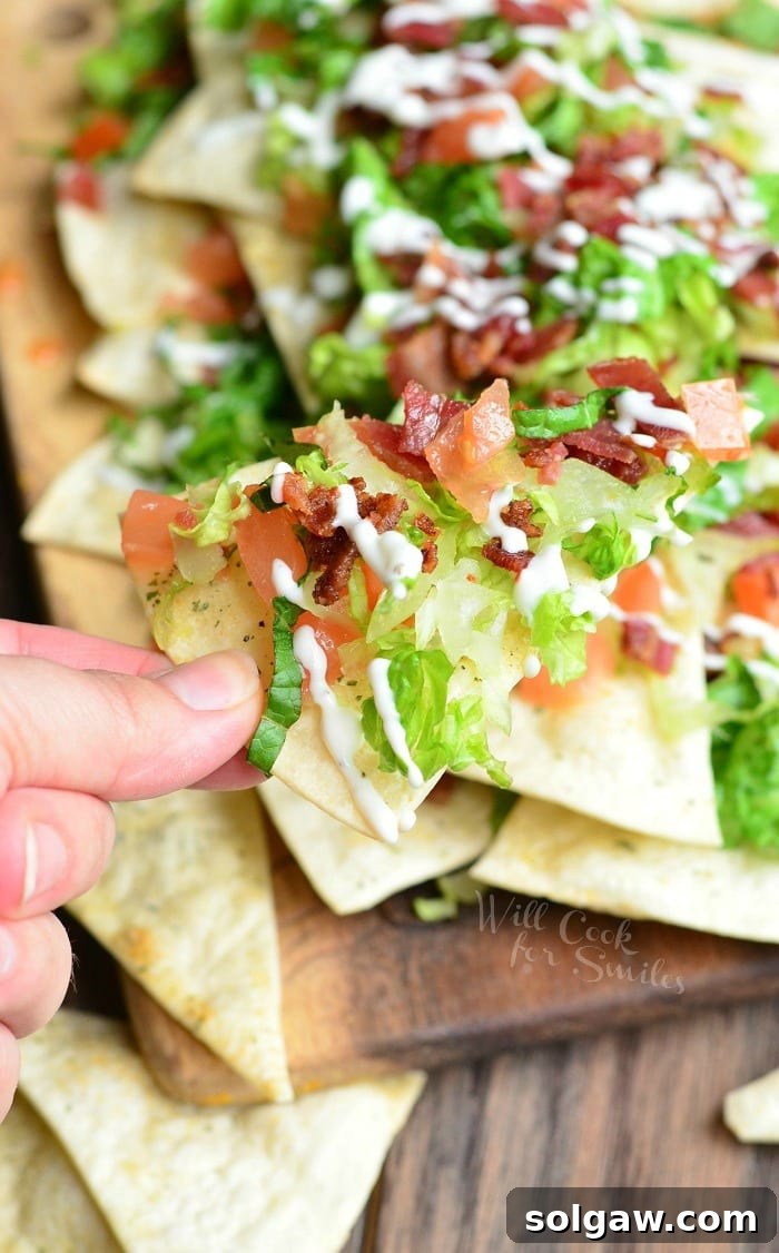 holding a BLT Nachos on a tortilla Chips