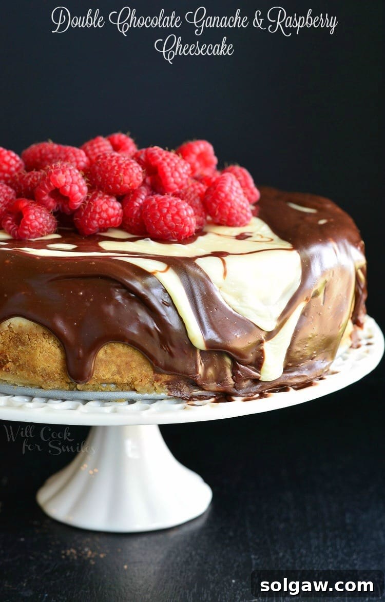Double Chocolate Ganache and Raspberry Cheesecake with raspberries on top on a cake stand