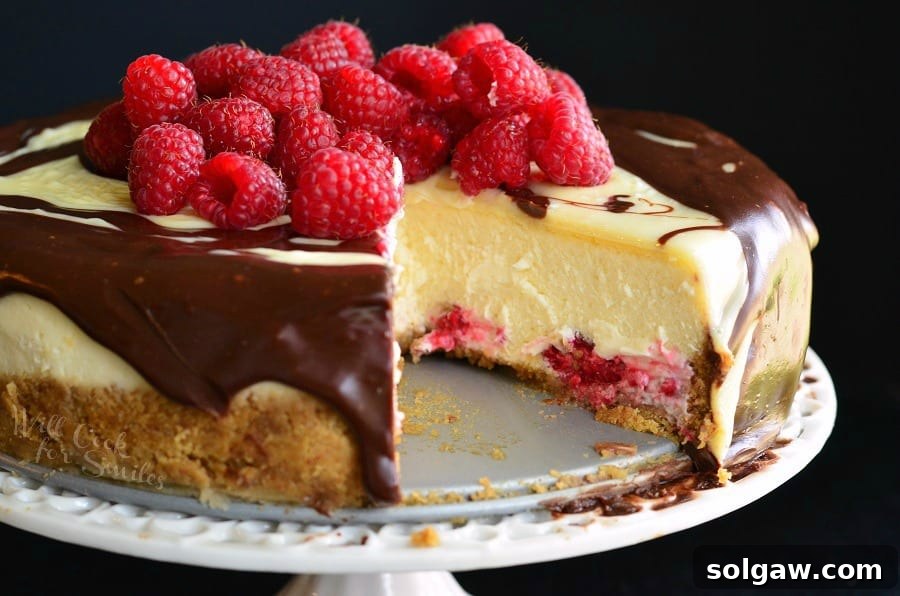 Double Chocolate Ganache and Raspberry Cheesecake