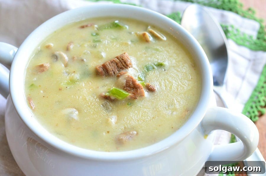Top View of Steak and Cheese Soup in a soup bowl 