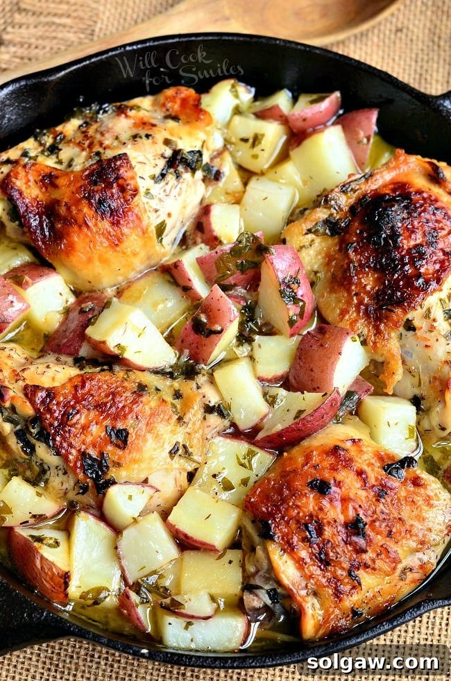 (One-Pot) Balsamic Chicken Thighs & Potatoes in a cast iron skillet, a complete meal.