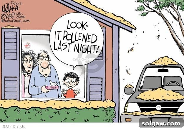 A humorous photo depicting a yard covered in thick yellow pollen, with the caption 'Look it pollened last night' like snow.